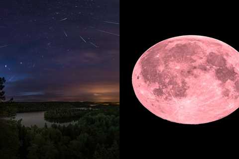 The Lyrid meteor shower will align with April's 'pink moon.' Here's how to watch it.  