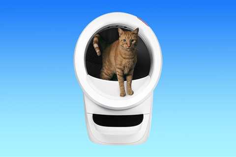 Whisker Litter-Robot 4 review: This $700 self-cleaning litter box outperformed every other box we tested