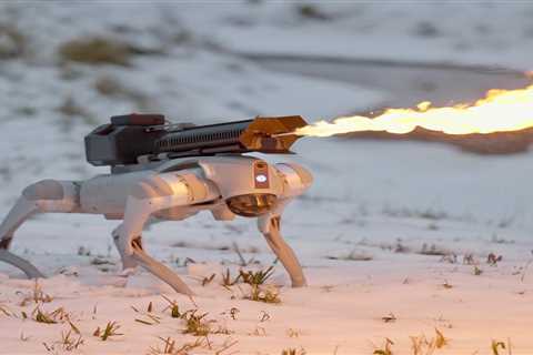 You can buy a flame-throwing robot dog for under $10,000 