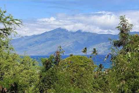 Napili Ridge D12 - Maui, Hawaii