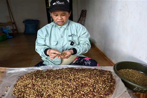 Your latte could get even more expensive, thanks to a drought in Vietnam that's strangling coffee bean production