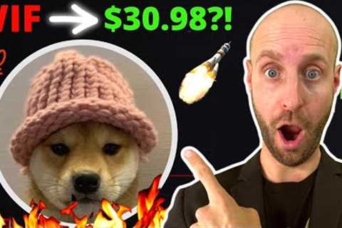 🔥I Bought 33.582 DOG WIF HAT (WIF) Crypto Coins at $2.97 Today?! Turn $100 To $1K?! (URGENT!!!)