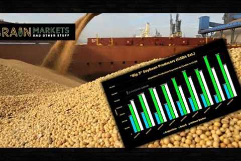 US Continues to Lose Soybean Export Share