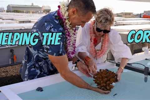 NEW Coral Rehabilitation Center on the Big Island