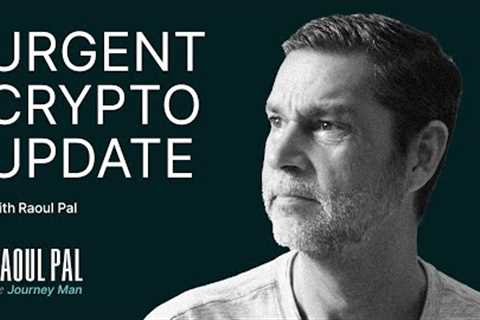 Don't Panic! Raoul Pal's Urgent Crypto Market Update