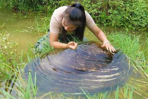 I awakened the pearl clam that had been sleeping for a hundred years, and it brought me great wealth