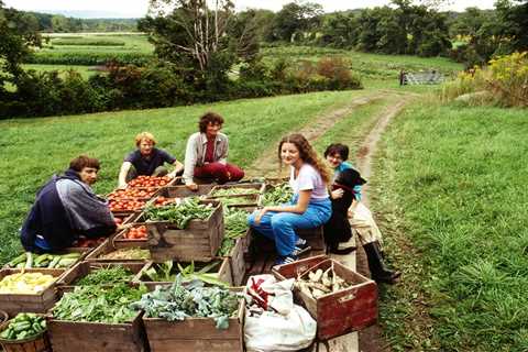How CSAs Took Root in the U.S.