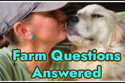 👩🏻‍🌾 Homestead Questions You're Asking! 🧡