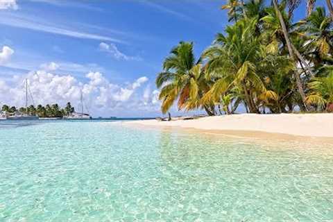 Ocean Ambience on a Tropical Island in Panama