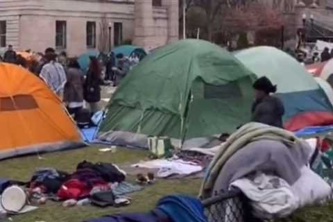 Groups Behind Protests Seizing College Campuses Get Bad News as Senators Send Letter to IRS