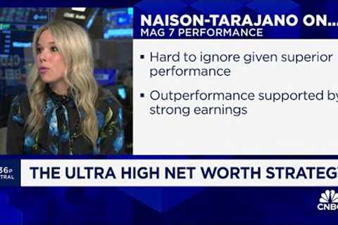 Goldman's Sara Naison-Tarajano: Tremendous amount of growth in the market has come from 'Mag 7'