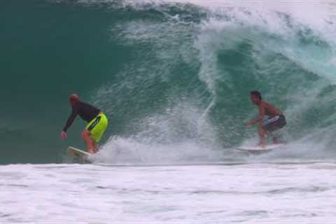 Heavy Localism Snapper Rocks