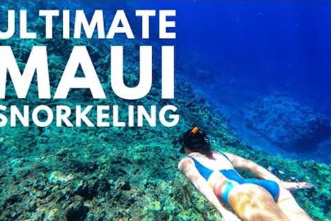 5 Best Maui Snorkeling Spots | Plus 2 Beginner, 4 Advanced, &amp; More