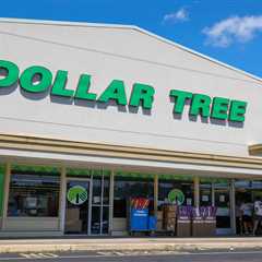 Dollar Tree is considering selling problem child Family Dollar