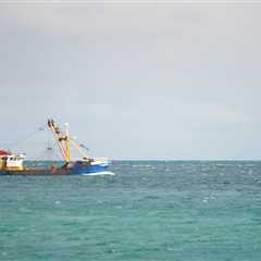 A media giant is suing scallop farmers for $870K, accusing them of damaging its underwater cable