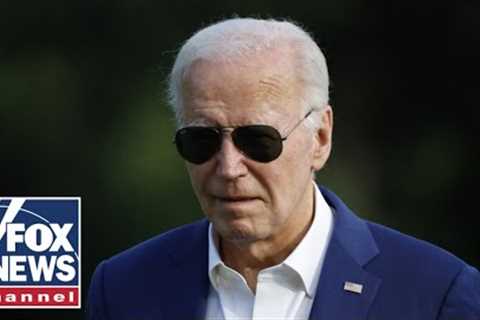 Biden campaign sources claim 'money has absolutely shut off': Report