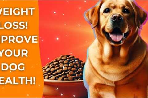 HOW TO HELP YOUR DOG LOSE WEIGHT | EASY ROUTINE TIPS!