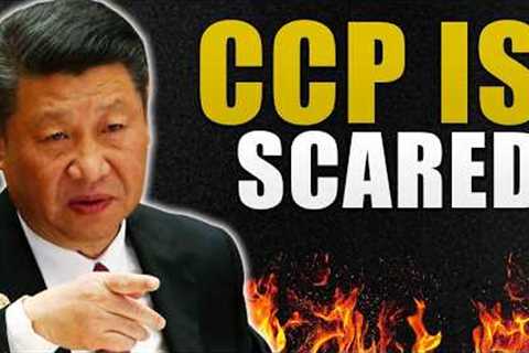 China's Geographic Crisis:  Collapse is inevitable, Minorities Rising up |  COMPILATION