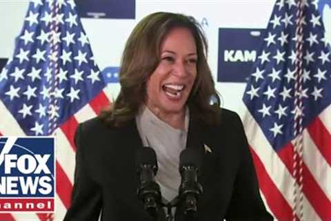 Harris has ‘undermined confidence’ that she can keep US safe: Tom Cotton
