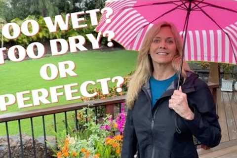 Big Island Hawaii Real Estate | What's the Weather Really Like in Waimea