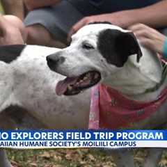 Hawaiian Humane Society’s ʻĪlio Explorers program: fields trips to forever homes