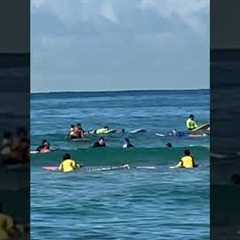 Newbie Surfers at Waikiki Beach #hawaii #waikikibeach #paradise #oahu #paradiseisland #surfing