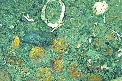 New Images From ‘Non-Invasive’ Study Show Golden Treasure From San Jose Galleon, the ‘Holy Grail’ of Shipwrecks That Sunk in the Caribbean