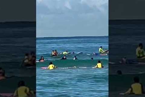 Newbie Surfers at Waikiki Beach #hawaii #waikikibeach #paradise #oahu #paradiseisland #surfing