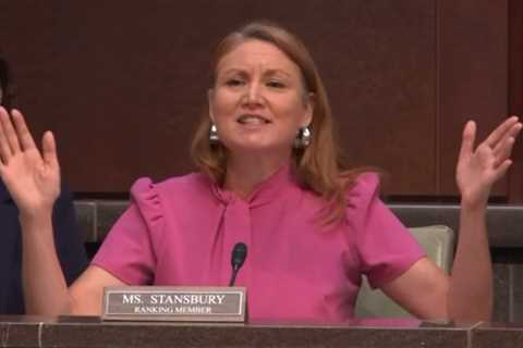 WATCH: Democrat Rep. Goes on Crazed Rant – Says Trump Admin “Shoved a US Senator to the Ground” and Blames Trump for Assassination of Minnesota State Legislator by Leftist Tim Walz Appointee!