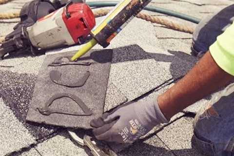BEST OF HAWAII | David's Custom Roofing and Painting