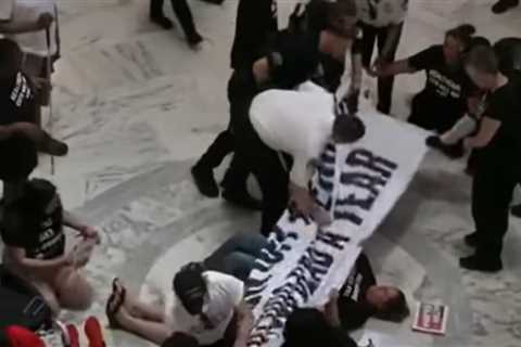Leftists Invaded the Capitol to Protest the ‘Big Beautiful Bill’ – Will They Get the J6 Treatment? (VIDEO)