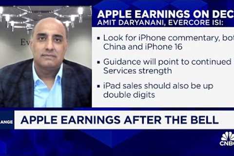 Focus will be what Apple intelligence could mean for iPhone 16, says Evercore ISI's Amit Daryanani