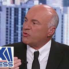 O’Leary sends cheeky message to Kamala Harris: It’s time for a ‘new and exciting job’