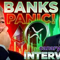 XRP FedWire Launch PANICS JP Morgan!!🔥Canary Capital CEO Steven McClurg🚨