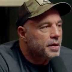 Joe Rogan Reveals the Reasons He Decided to Interview Trump on His Podcast Before the Election (VIDEO)