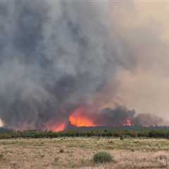 Watch: Rare ‘Firenado’ Captured on Video as it Cuts a Swath of Destruction