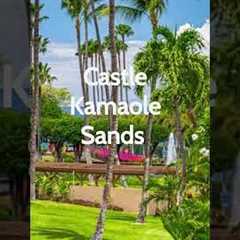 Top 5 Affordable Hotes in Hawaii #shorts