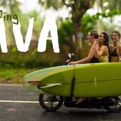 surfing perfect longboard waves in JAVA