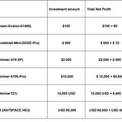 XRP and Dogecoin Holders Chose APT Miner & Made a Stable Profit of $3,000/Day