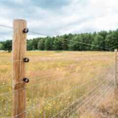 Fields of fortune: Why farmland remains a tax-efficient safe haven — for now