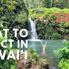 Things to Know Before Going to Hawaii in 2024 | 12 Hawaii Trip Planning Mistakes in 11 Minutes