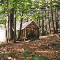 All It Took Was $3,000 and a Bit of Imagination to Bring This See-Through Vermont Cabin to Life