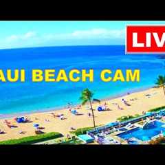 🐳  LIVE 24/7  🌊  TSUNAMI WATCH  * BEACH CAM *  www.WhalerCondo.net