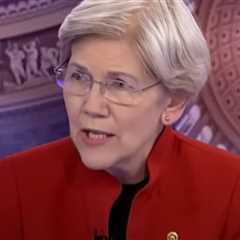 CNBC Hosts Ridicule Elizabeth Warren’s Fearmongering Over the Trump Economy (VIDEO)