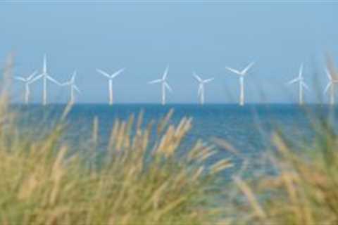 Crown Estate matches record profits on windfarm windfall but warns boom is temporary