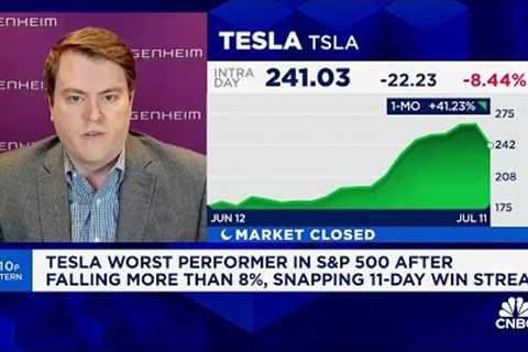 Hard to justify Tesla's valuation without robotaxis, says Guggenheim's Ronald Jewsikow