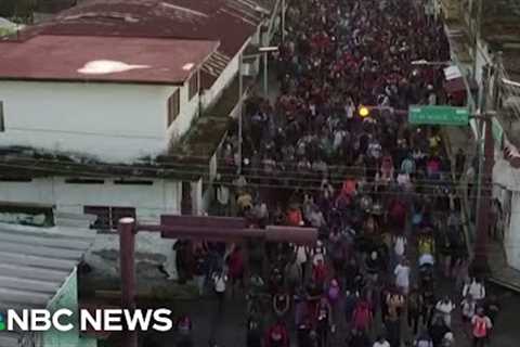 Group of migrants make way to U.S. before Tump takes office