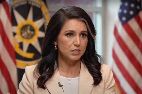 ‘Deranged Behavior’: Tulsi Gabbard Accuses Mainstream Media Reporter of ‘Actively Harassing’ Her Staff