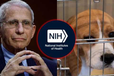Eleven Republican Members of Congress Demand NIH End Fauci’s ‘Barbaric’ Animal Tests as Agency Clings to Cruel Legacy