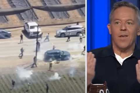 Greg Gutfeld: ‘The Modern Democrat Picks the Wrong Side in Every Contest – Imagine Watching Jaws and Rooting for the Shark’ (VIDEO)